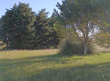 Terreno , Alvear · Venta - Terreno en Alvear
