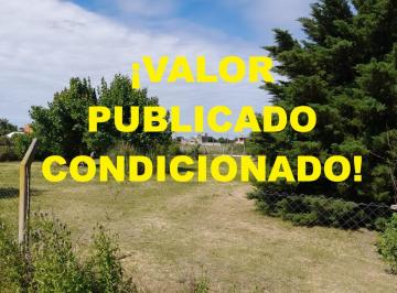 Terreno , Alvear · Terreno Arbolado Excepcional Santa Susana