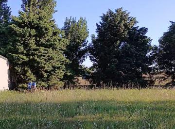 Terreno , Alvear · Terreno Alvear
