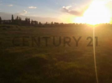 Terreno · 6000m² · Lote en Venta en Calle Cornelio Saavedra - Goudge - San Rafael