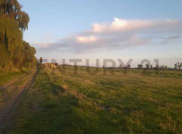 Terreno · 3000m² · Lote en Venta en Calle Cornelio Saavedra - Goudge - San Rafael