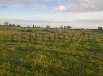 Terreno · 1000m² · Lote en Venta en Calle Cornelio Saavedra - Goudge - San Rafael
