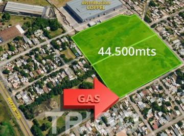 Terreno · 44500m² · Terreno Industrial Ideal Logística en Venta en Moreno en Ruta 25 a m del Acceso Oeste