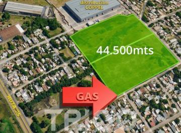 Terreno · 44500m² · Terreno Industrial Ideal Logística en Venta en Moreno en Ruta 25 a m del Acceso Oeste