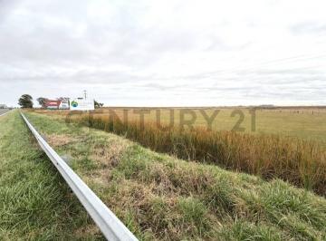 Campo · 8m² · Campo de 8 Hectáreas Sobre Ruta Nacional 8 con Renta Publicitaria
