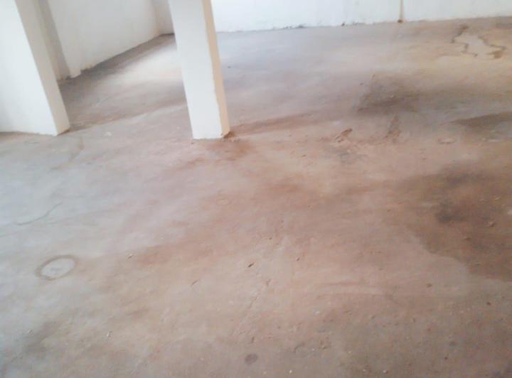 Bodega-Galpón · 220m²