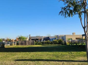 Terreno · 533m² · Pilar del Este - Lote - Santa Emilia - 533 m