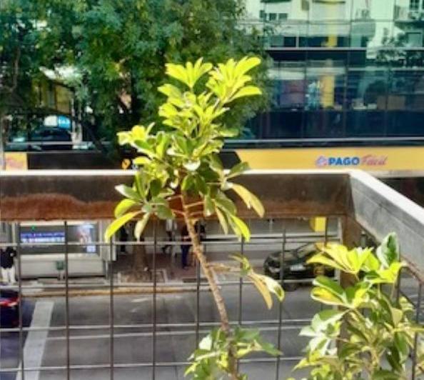 Departamento · 41m² · 2 Ambientes