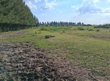 Terreno · 8662m² · Terreno en Venta - 8.662 m² - Coronel Brandsen
