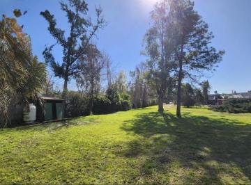 Terreno · 5300m² · Terreno en Venta en Chacras de Canning Ezeiza