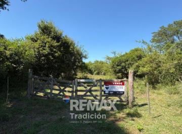 Campo · 105ha · Campo Ganadero en Venta – 105 Has - Las Palmas