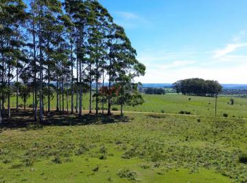 Campo · 50000m² · Venta Chacra Camino Cerro Catedral - Maldonado
