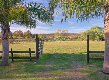 Campo · 1500m² · 3 Ambientes · Venta Chacra con Renta Melilla