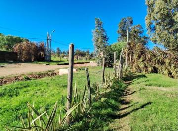 Terreno · 36m² · 1 Ambiente · Venta de Casa 1dormitorio con Parrillero 1000 m², Piriápolis