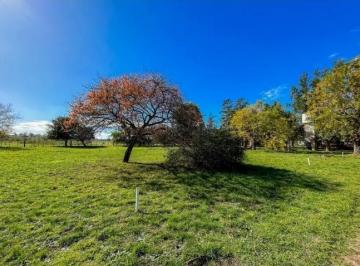 Campo · 410m² · 5 Ambientes · Venta Campo 5 Hectáreas con Casco y Habilitación Productiva en Santa Rosa Marcos Paz