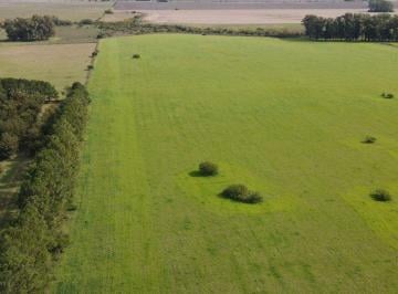 Campo , Gualeguaychú · 280 Hectáreas Agrícolas con Todas Las Mejoras, Gualeguaychú.