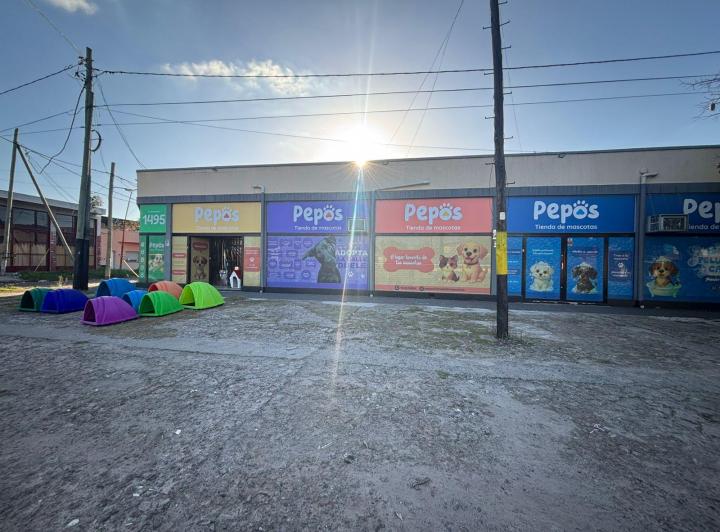 Local comercial · 545m²