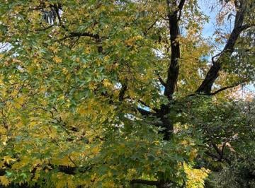 Terreno en Venta  Boulogne Sur Mer · Único E Impresionante Lote - Orientacion Norte