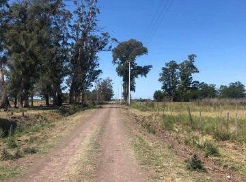 Terreno · 520000m² · Retasado!venta Campo 52 Ha San Vicente