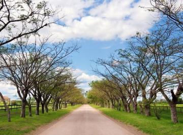 Campo · 3ha · Chacra Venta Haras El Argentino Farm Club, Lujan