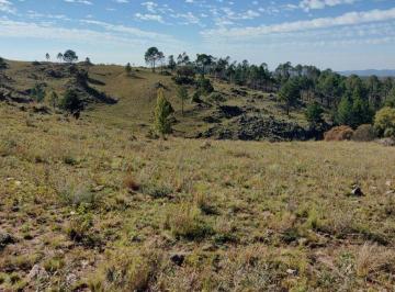 Campo , San Clemente · Campo de 5 Has en Pampa Alta