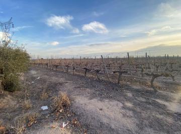 Terreno · 163351m² · Lote en Venta en Coquimbito Maipú