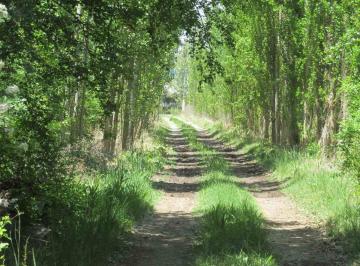 Terreno · 8300m² · Terreno 8300 m² en Venta La Primavera Valle de Uco