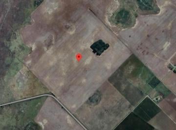 Campo · 42m² · Campo Agricola de 42 Has en Zona Nucleo - Zona: Entre Rojas y Junin
