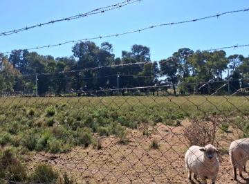 Terreno · 570m² · Importante Lote en Excelente Ubicacion - Zona: Junin