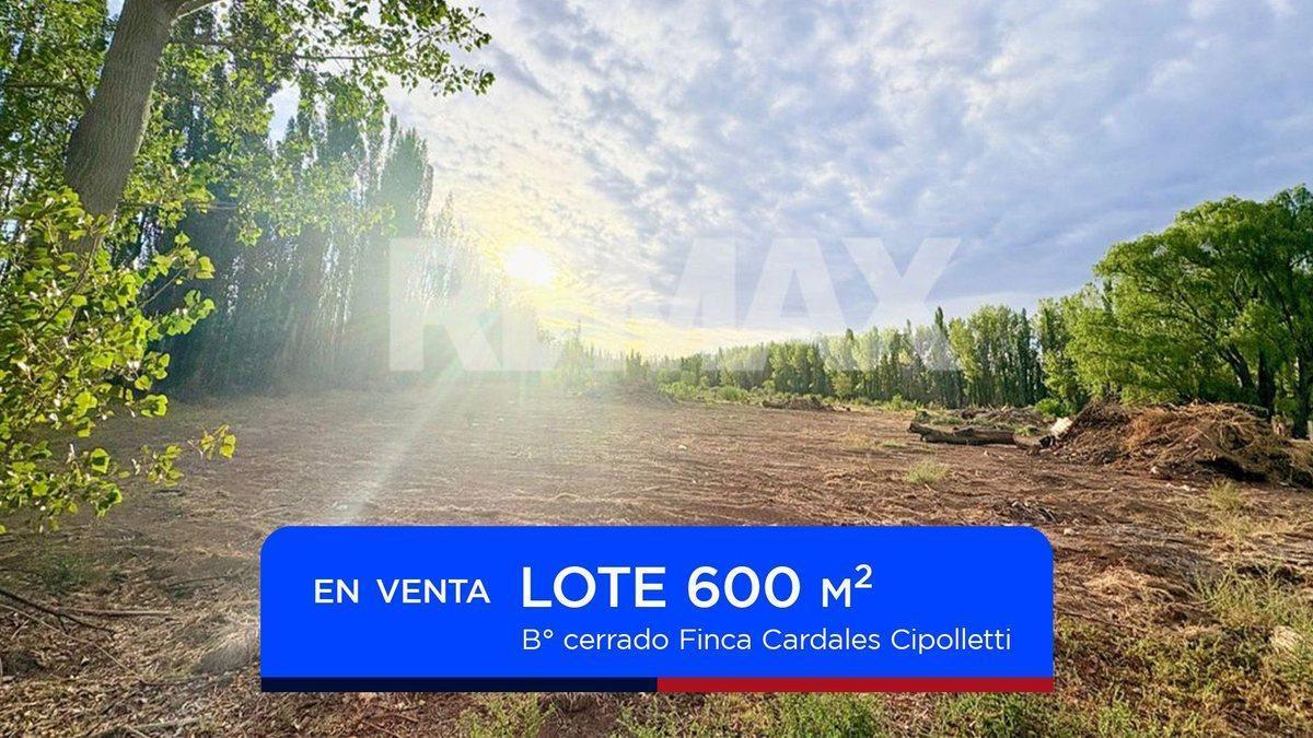 San Luis S/N, Cipolletti, Río Negro