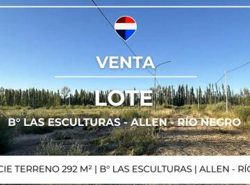 Terreno · 292m² · Venta Lotes 8 y 9 Las Esculturas - Allen