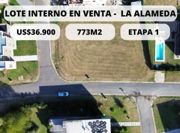 Terreno · 773m² · Lote Interno en Venta en La Alameda Etapa Uno