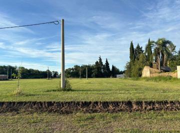 Terreno · 321m² · Venta Terreno en Máximo Paz – Oportunidad