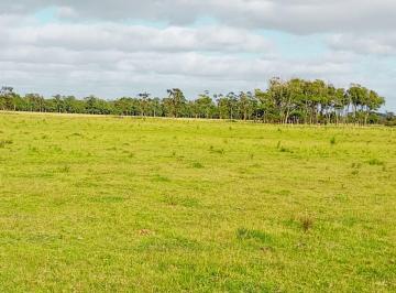 Campo · 5ha · Chacra en Venta en La Paloma