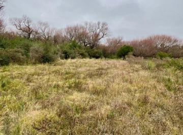Campo · 19ha · Venta Campo 19 Has Sobre Arroyo Sarandí Costa Azul