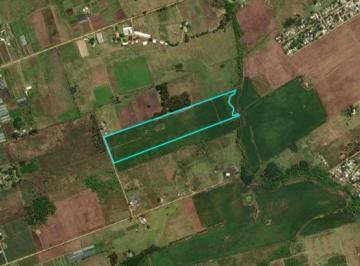 Campo · 11ha · Venta Campo Toledo Chico Mvdeo. Oportunidad