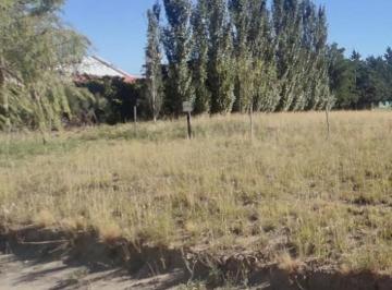 Terreno · 924m² · Amplio Lote en Paihuen