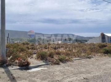 Terreno · 368m² · Terreno Cordon Forestal