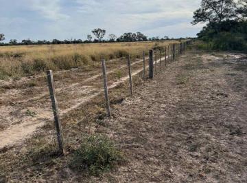 Campo · 918ha · Venta de Campo en Fernandez - Santiago del Estero