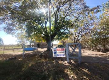 Campo · 280ha · Venta de Finca en La Dormida, Santa Rosa, Mendoza