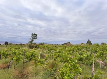 Terreno · 8129m² · Se Vende Terreno en Fiambala - Dpto Tinogasta