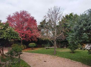Terreno · 457m² · Venta Terreno con Mejoras en San José de Carrasco