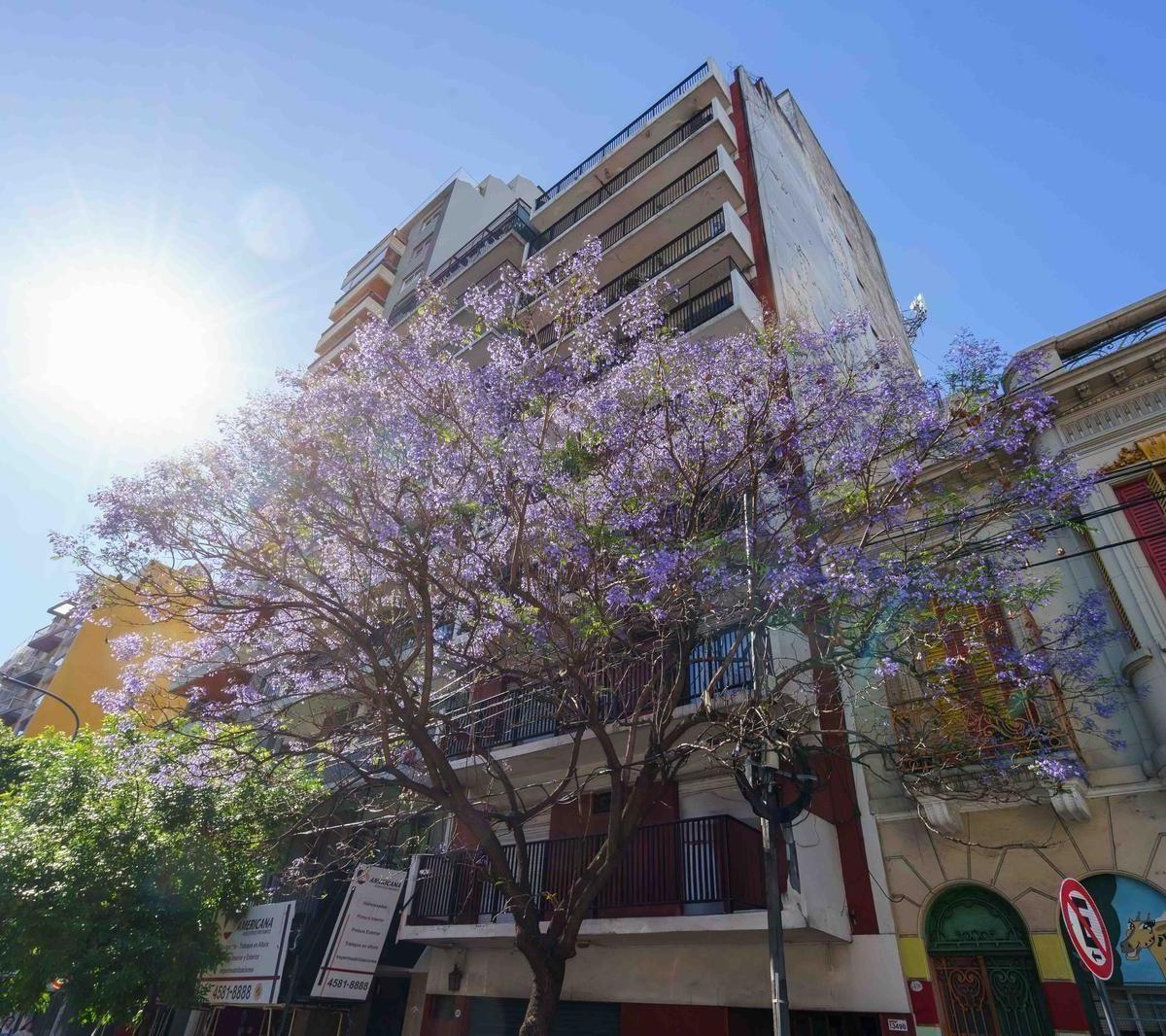 Avenida San Juan 3400