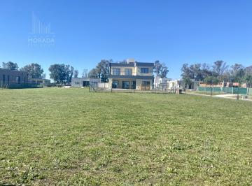 Terreno · 462m² · Venta Terreno Lote Central Barrio Santa Elisa Pilar del Este.
