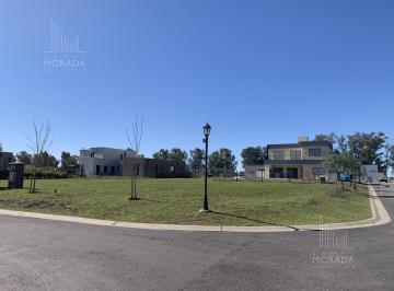 Terreno · 462m² · Venta Terreno Lote Central Barrio Santa Elisa Pilar del Este.