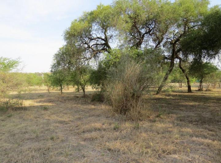 Terreno · 572m²