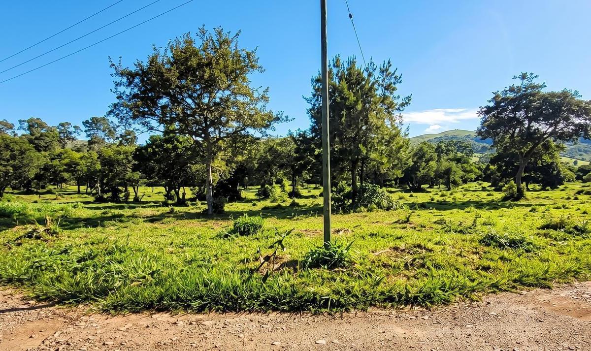 Terreno EN Venta EN LAS Cañadas Lote 81,  Salta, Salta