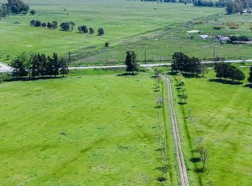Campo · 135ha · Campo en Venta Florencio Varela, 135 Ha