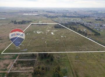 Campo · 180ha · Ha en Venta en La Capilla Florencio Varela