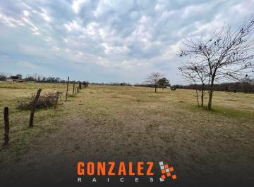 Campo · 20000m² · Campo en Marcos Paz - 2 Ha